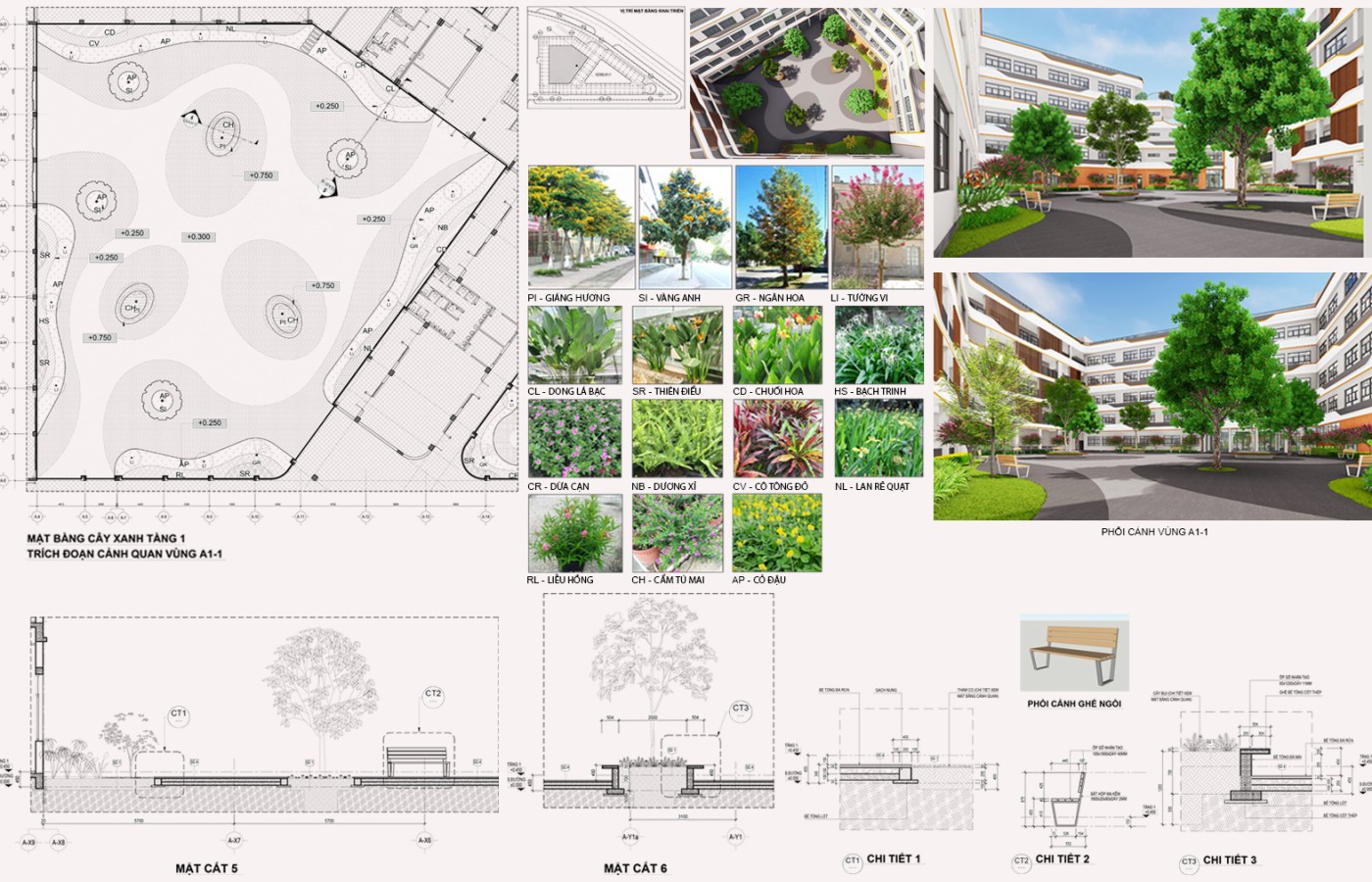 LANDSCAPE - INTERNATIONAL SHOOL