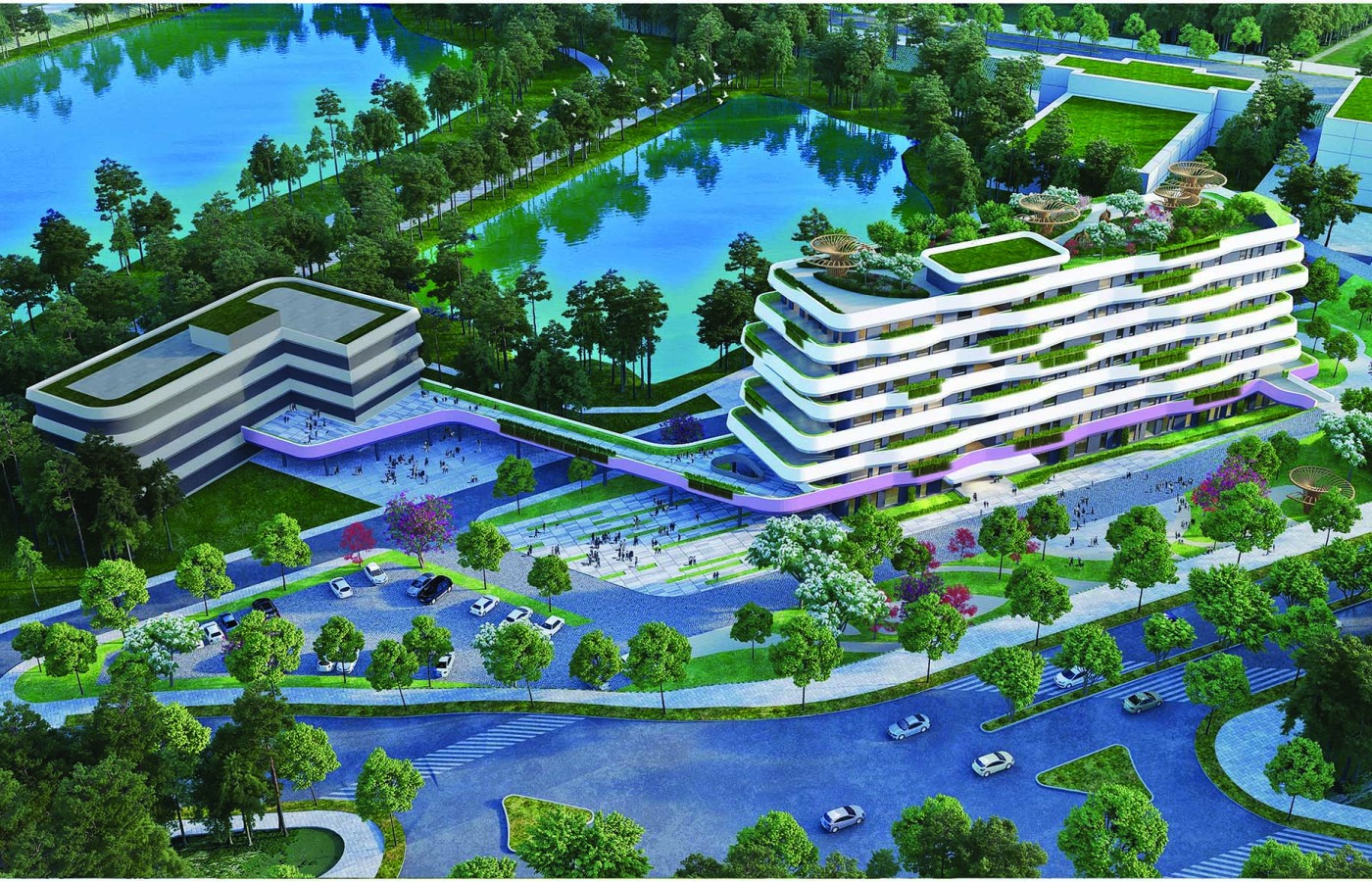 BINH DUONG INTERNATIONAL UNIVERSITY